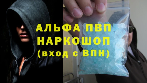 трава Белокуриха
