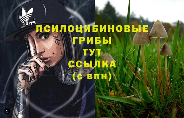 кокс Балабаново