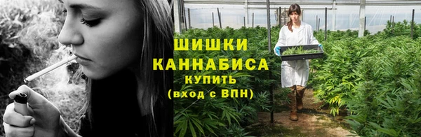 трава Белокуриха